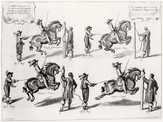 Illustration aus einem Reitmanual, graviert von Peeter Clouwet (1629-70), 1658