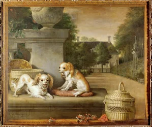 Zwei Hunde in einem Park, Hundekörbe und ein Landhaus