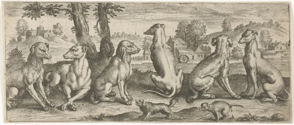 Hunde