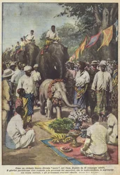 Wie ein weißer Elefant im Siam heilig wird