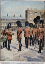 Verteilung von Klee für den heiligen Patrick (Schutzpatron von Irland) durch irische Regimenter, England - Zeichnung von A. Beltrame, in „La Domenica del Corriere“