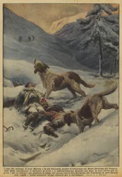 Die Hunde, die retten