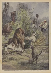 Die Dramen der Kinematographie, Kameraleute in Afrika von Löwen angegriffen