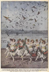 Der Tanz der Wildenten