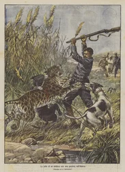 Der Kampf eines Bürgermeisters mit einem Panther in Algerien