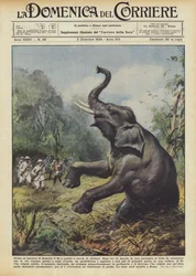 Bevor er Somalia verließ, ging der König auf Elefantenjagd