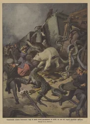 Sensationeller Eisenbahnunfall, Flucht wilder Tiere, insbesondere Reptilien