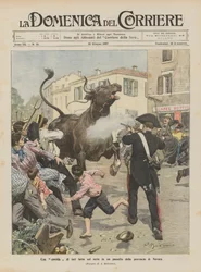 Ein ernsthaftes Stierkampf in einem Dorf in der Provinz Novara
