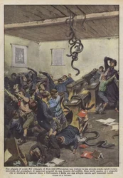 Ein Regen von Schlangen