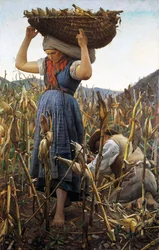 Die Maisernte, 1881
