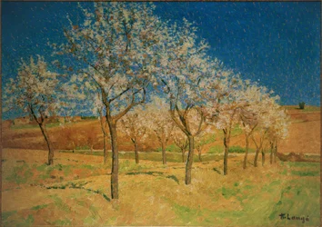 Landschaft mit blühenden Bäumen
