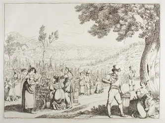 Die Weinlese