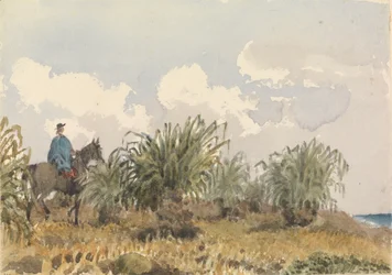 Tussac-Gras, Falklandinseln