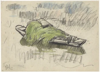 Boot mit Gras