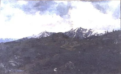 Auf alpinen Weiden