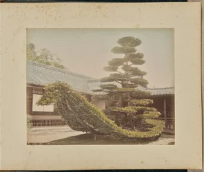 Kiefer, Kinkakuji