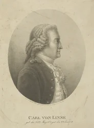Porträt von Carl Linnaeus 1707-1778, um 1800