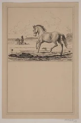 Das Pferd im Wasser. Nr. 22 in Chr. Winther und M. Rørbye, "25 Bilder für kleine Kinder"