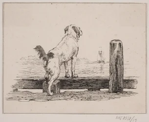 Hund am Strand