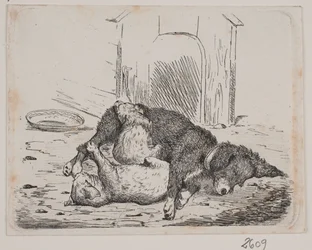 Hund mit Welpe