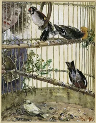 Die Distelfinken und der Kanarienvogel im Bauer. Aus dem "Kinderalbum"