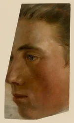 Gesicht eines Mannes im Profil nach links