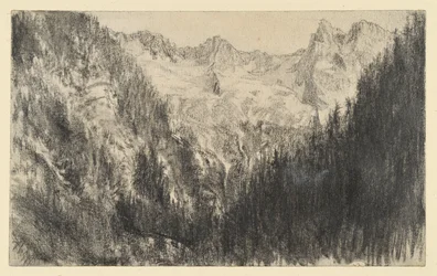 Hochgebirge mit Tannenwaldung im Vordergrund
