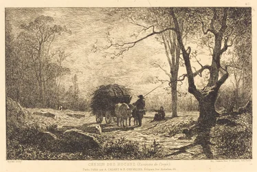 Chemin des Roches