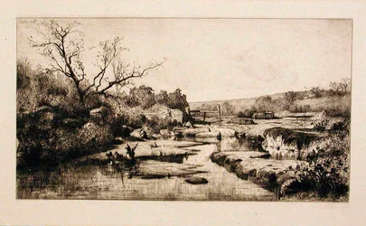 Die Quellen der Albarine (Ain)