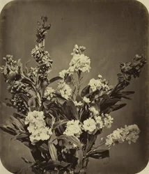 Blumenstrauß