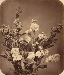 Blumenstrauß, um 1855
