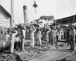 Bananenverladung, Port Antonio, Jamaika, ca. 1905