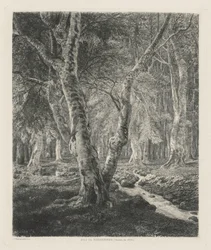 Bois de Pierrefonds