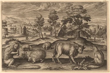Ein Affe, ein Stachelschwein, zwei Igel, ein Büffel und ein Fuchs