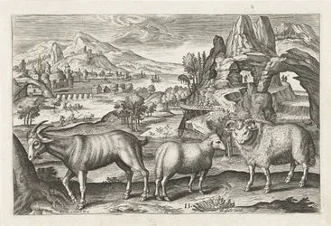 Bock und Schafe (Vierbeinige Tiere, Serie)