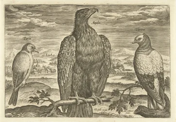 Drei Vögel in einer Landschaft