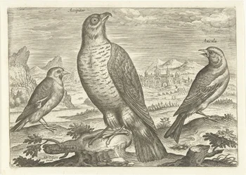 Drei Vögel in einer Landschaft, Vögel (Serientitel), Avivm vivae (Serientitel)