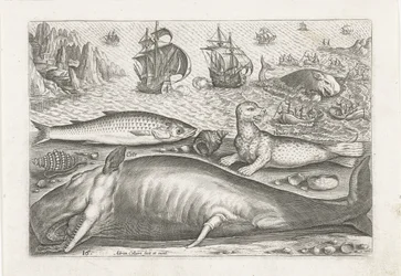 Ein Häring, ein Seelöwe und ein Wal am Strand