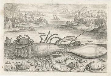 Ein Fisch und einige Schalentiere am Strand (Vissen, Piscivm vivae icones)