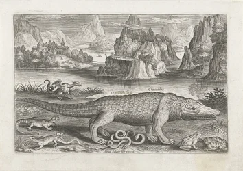 Einige Reptilien und Amphibien an einem Ufer (Fische, Piscivm vivae icones)