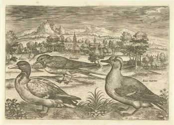 Einige Vögel in einer Landschaft