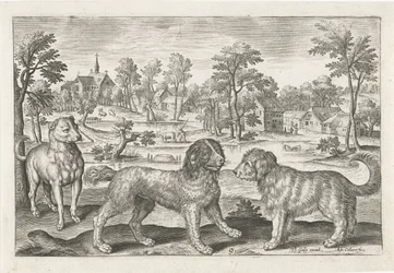 Hunde