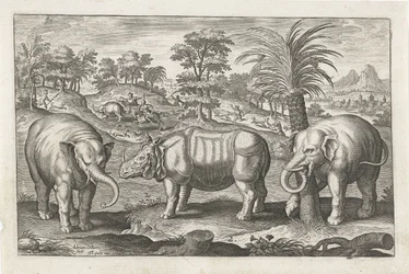 Elefanten und Nashorn
