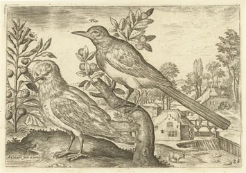 Zwei Vögel in einer Landschaft
