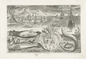Vier Fische am Strand