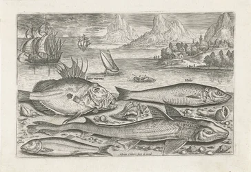 Vier Fische am Strand Fische (Serientitel) Piscivm vivae icones (Serientitel)