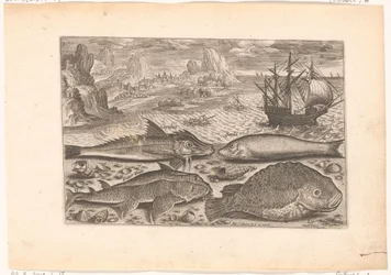 Vier Fische am Strand
