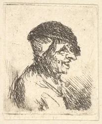 Kopf eines Bauern, 17. Jahrhundert