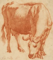 Eine Kuh beim Grasen, ca. 1663