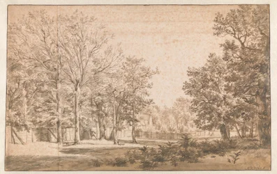 Baumreiche Landschaft